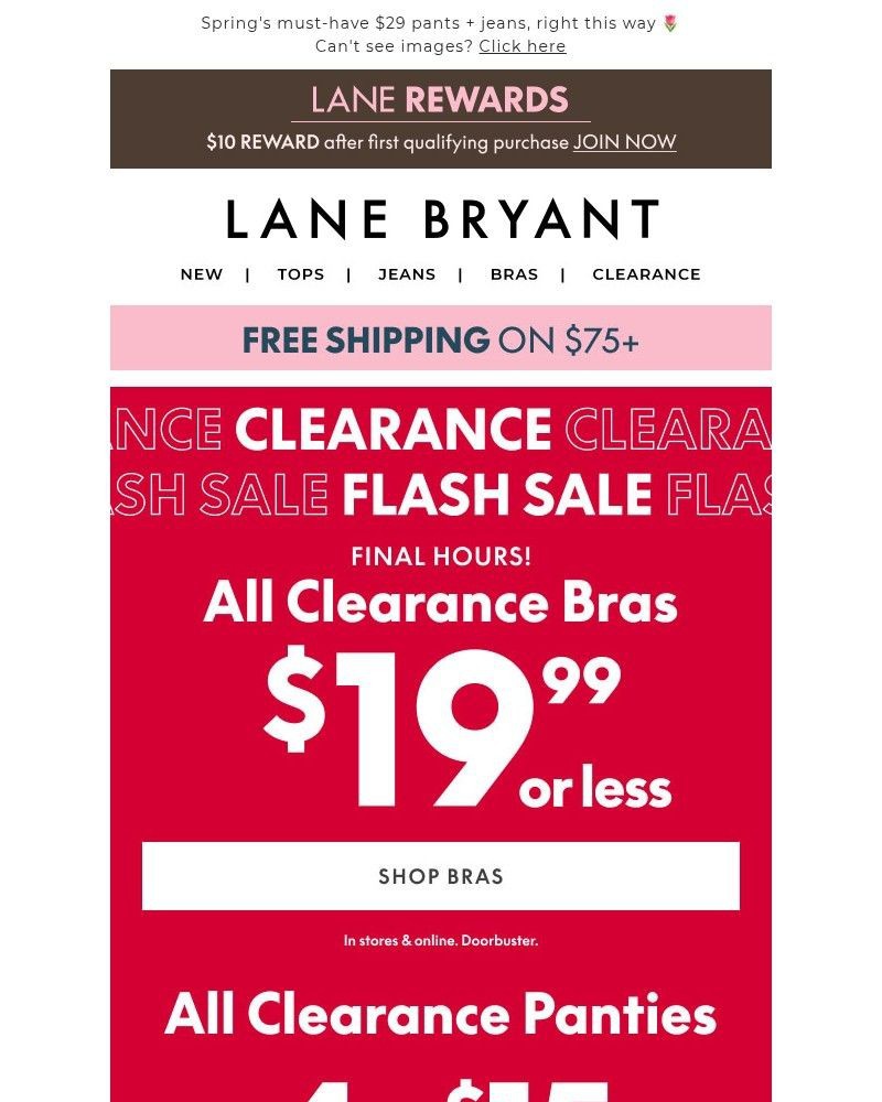 Screenshot of email with subject /media/emails/clearance-fnl-hrs-1999-bras-415-panties-968e8e-cropped-fcdbf8d9.jpg