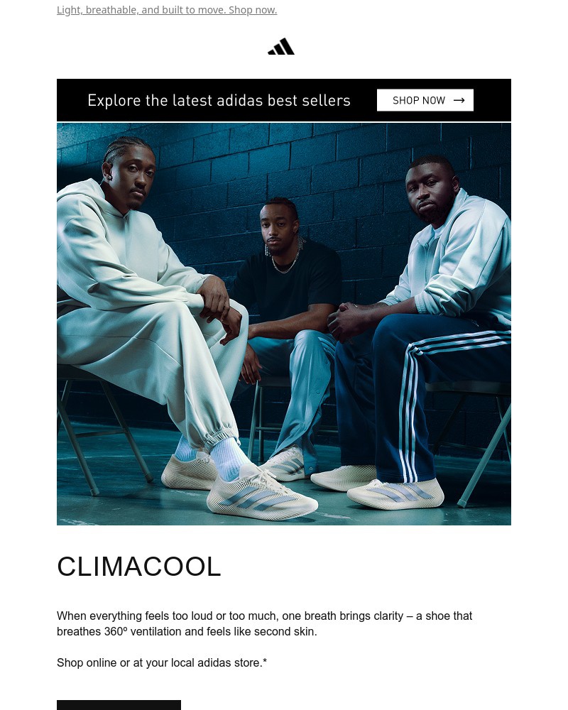 Screenshot of email sent to a Adidas Newsletter subscriber