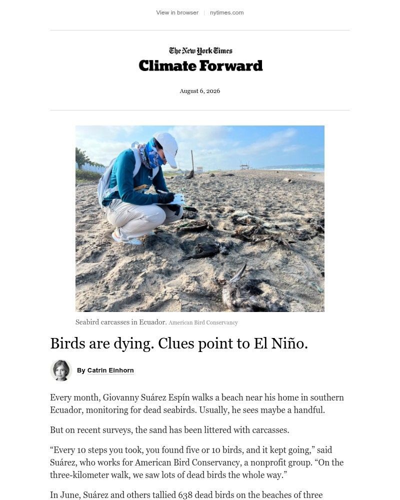 Screenshot of email sent to a The New York Times Customer