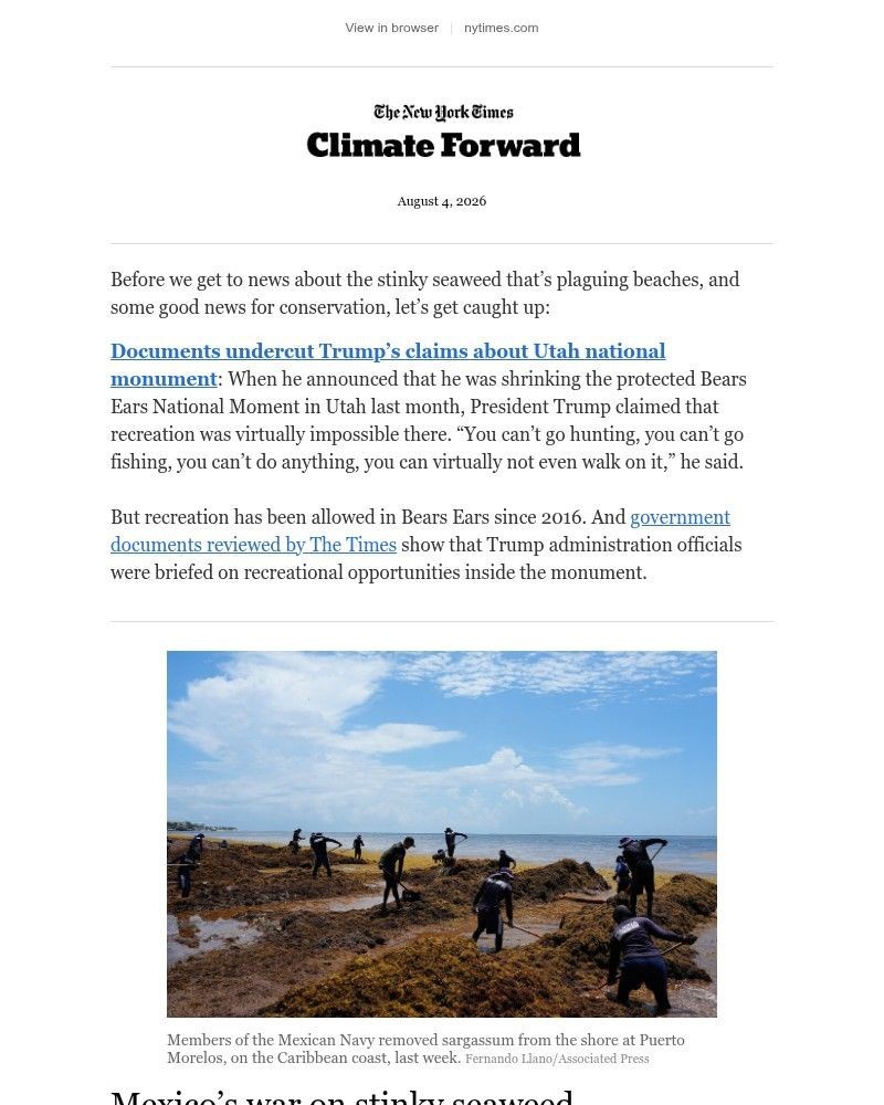 Screenshot of email sent to a The New York Times Customer