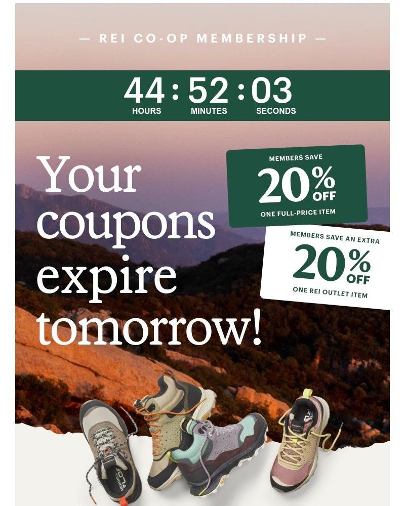 Screenshot of email with subject /media/emails/clocks-ticking-on-your-coupons-56f399-cropped-7749b7bb.jpg