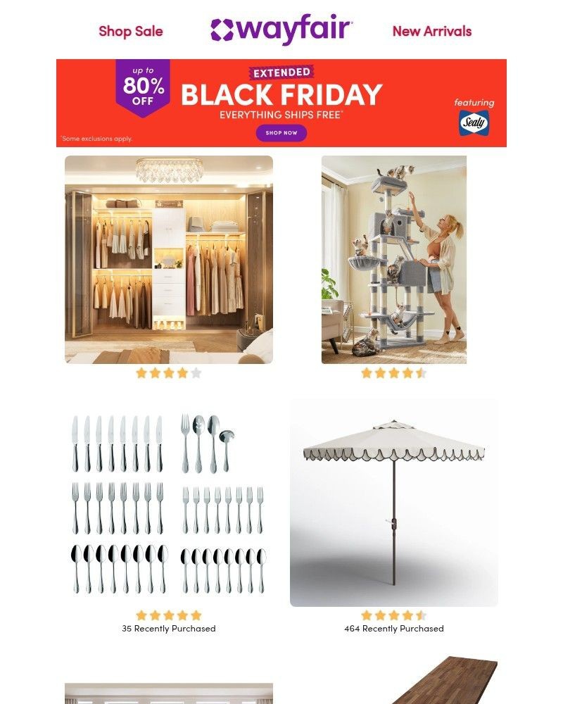 Screenshot of email with subject /media/emails/closet-systems-extended-black-friday-final-hours-7f0bea-cropped-d742469c.jpg