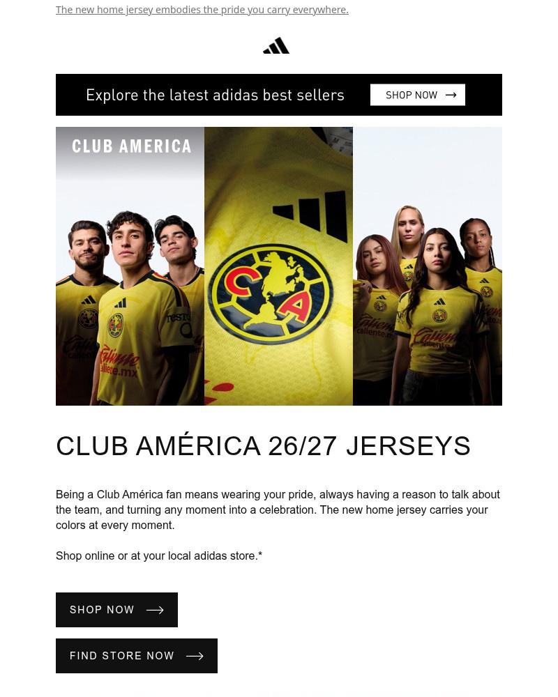 Screenshot of email with subject /media/emails/club-america-a-way-of-life-b47cce-cropped-71a885c5.jpg