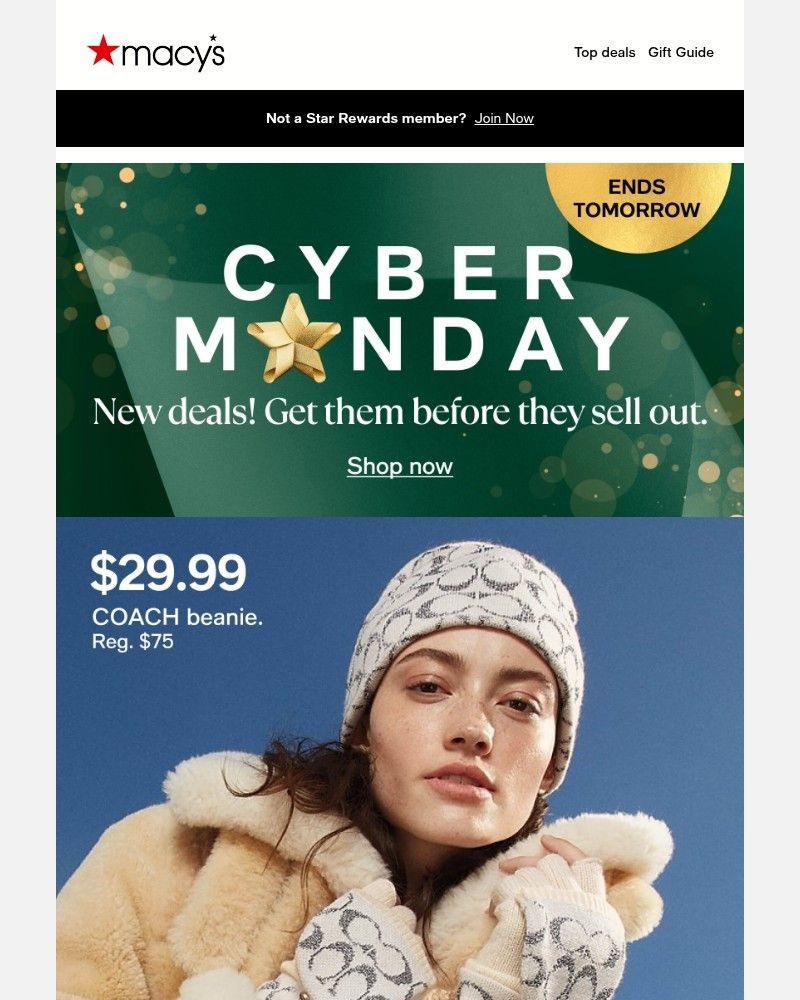 Screenshot of email with subject /media/emails/coach-at-2999-accessories-youll-love-75d5e0-cropped-30bf16c3.jpg