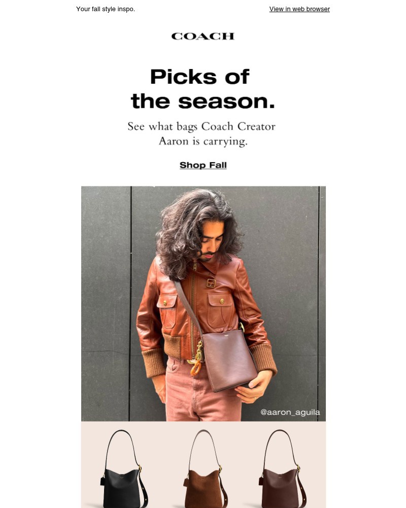 Screenshot of email with subject /media/emails/coach-creator-approved-bags-d650a4-cropped-09d30b28.jpg