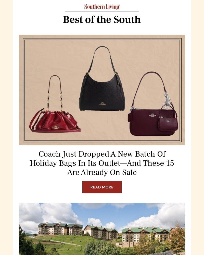 Screenshot of email with subject /media/emails/coach-just-dropped-new-bags-in-its-outlet-f6712e-cropped-a4d40958.jpg