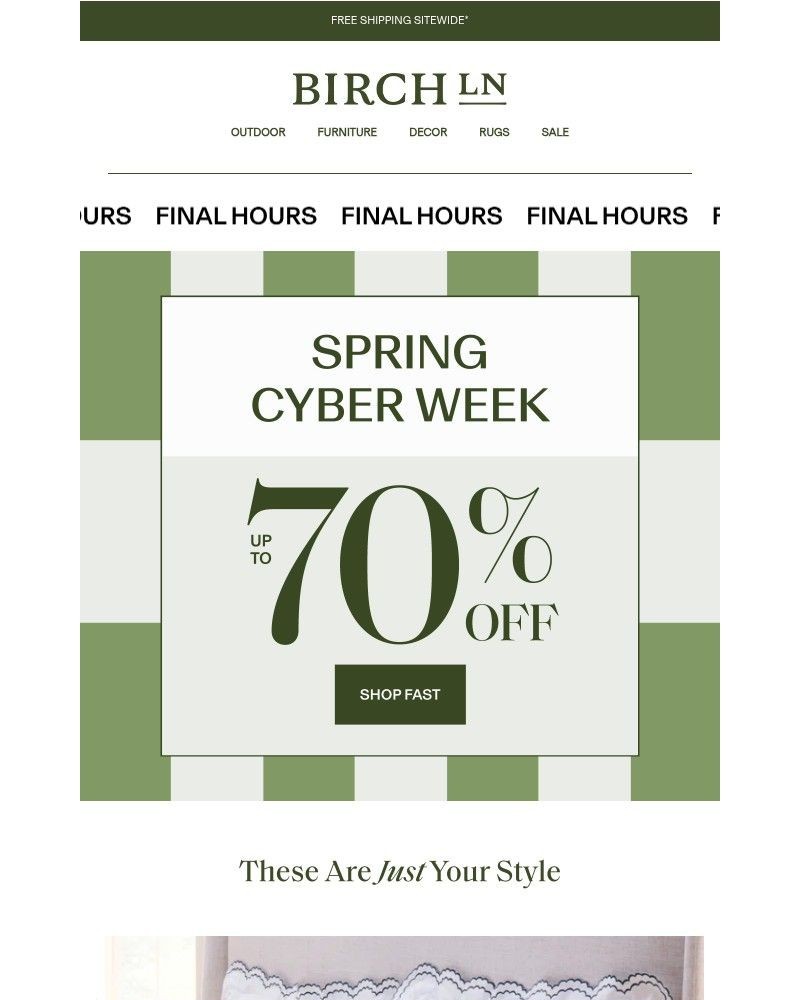 Screenshot of email sent to a Birch Lane Newsletter subscriber