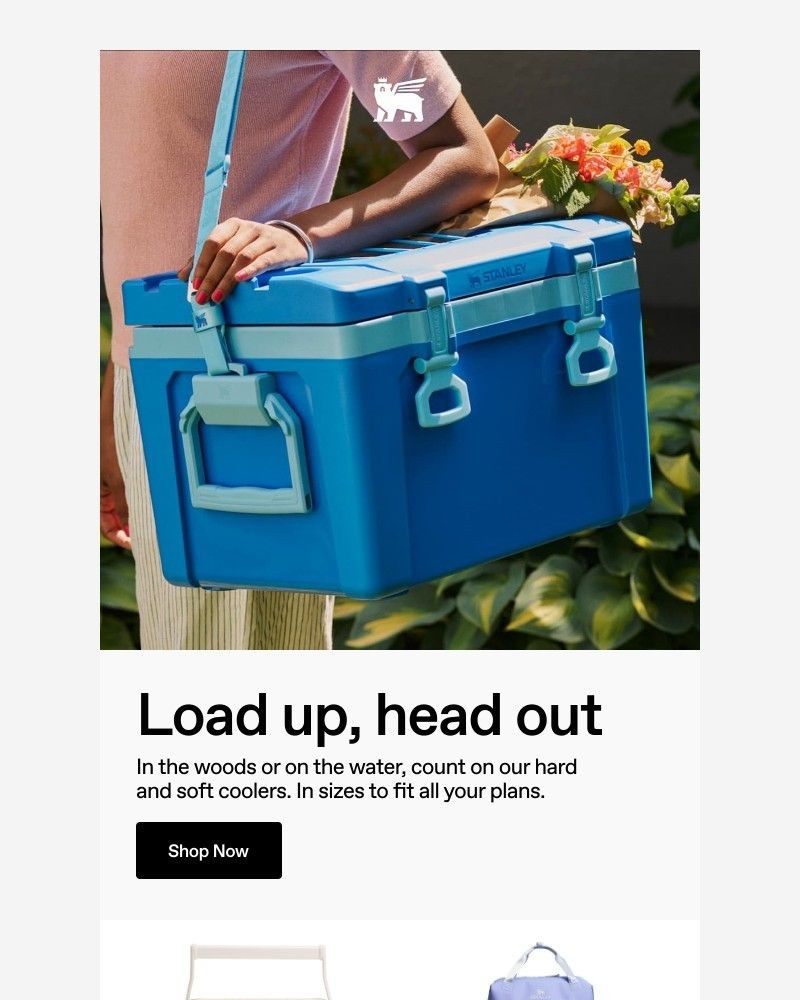 Screenshot of email with subject /media/emails/cold-for-days-eaf2c9-cropped-07f72a01.jpg