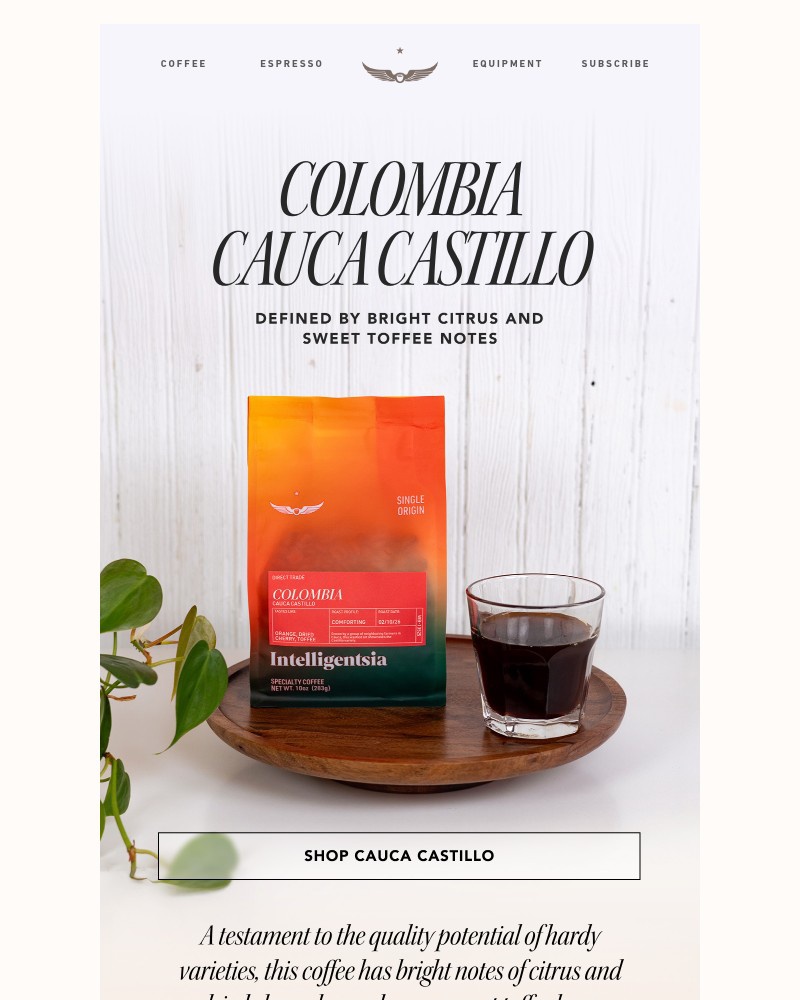 Screenshot of email sent to a Intelligentsia Newsletter subscriber