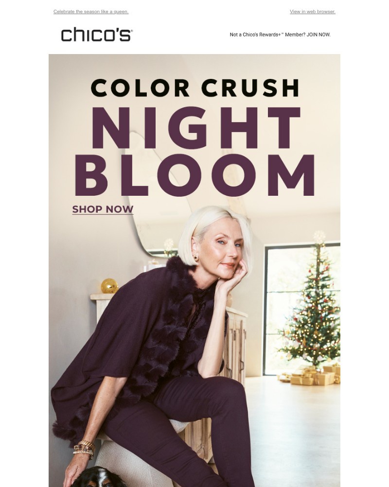 Screenshot of email with subject /media/emails/color-crush-night-bloom-480657-cropped-e919f1f3.jpg