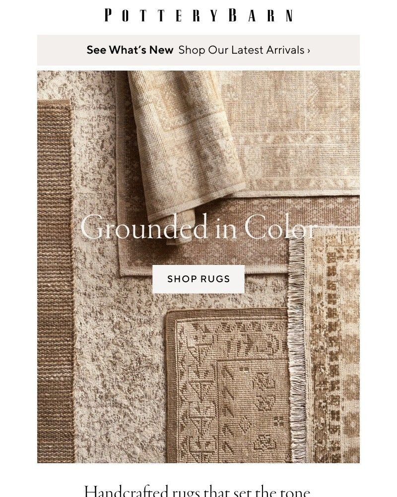 Screenshot of email with subject /media/emails/colorful-rugs-that-set-the-tone-0b5afa-cropped-81a38f1f.jpg