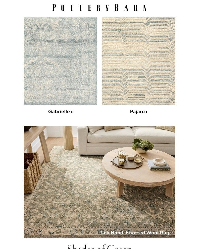 Screenshot of email with subject /media/emails/colorful-rugs-that-set-the-tone-8164e2-cropped-bd1e23e6.jpg