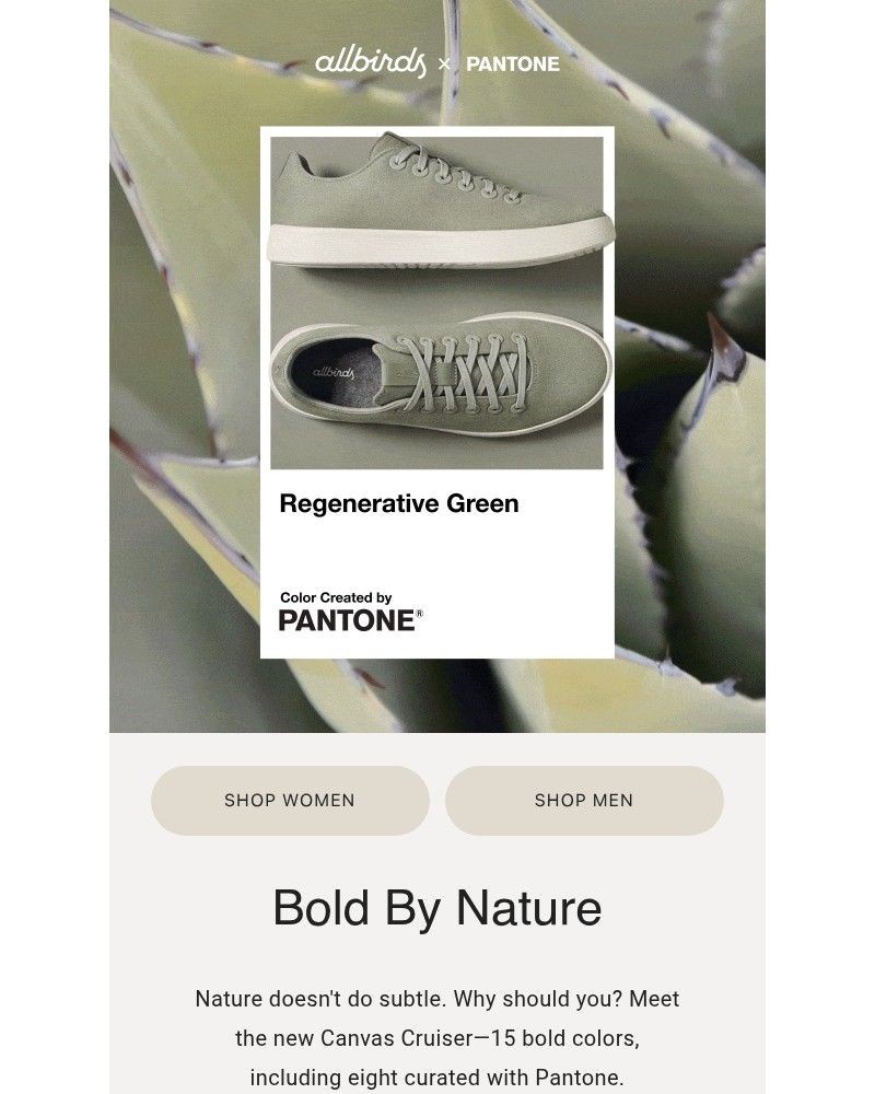 Screenshot of email with subject /media/emails/colors-by-pantone-comfort-by-allbirds-e1bc5e-cropped-f871676d.jpg