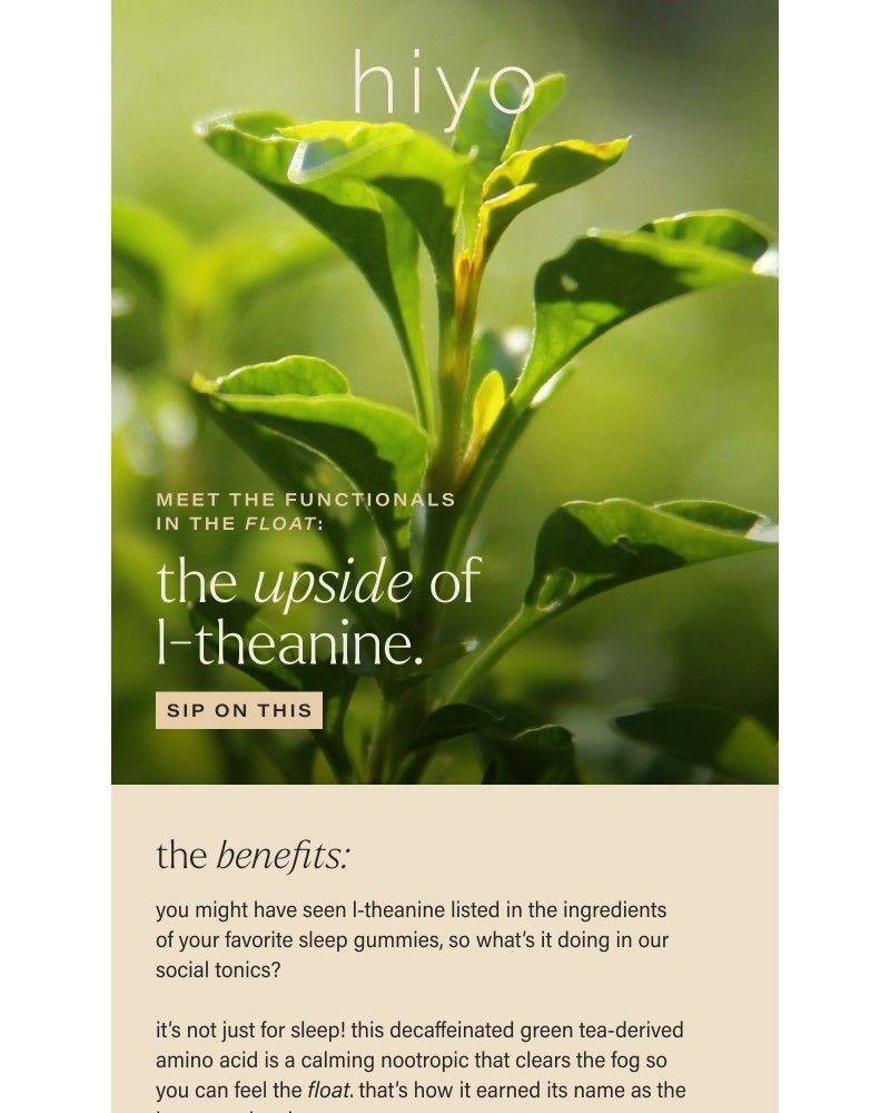 Screenshot of email with subject /media/emails/come-into-focus-with-l-theanine-4d97ec-cropped-5cae61b2.jpg