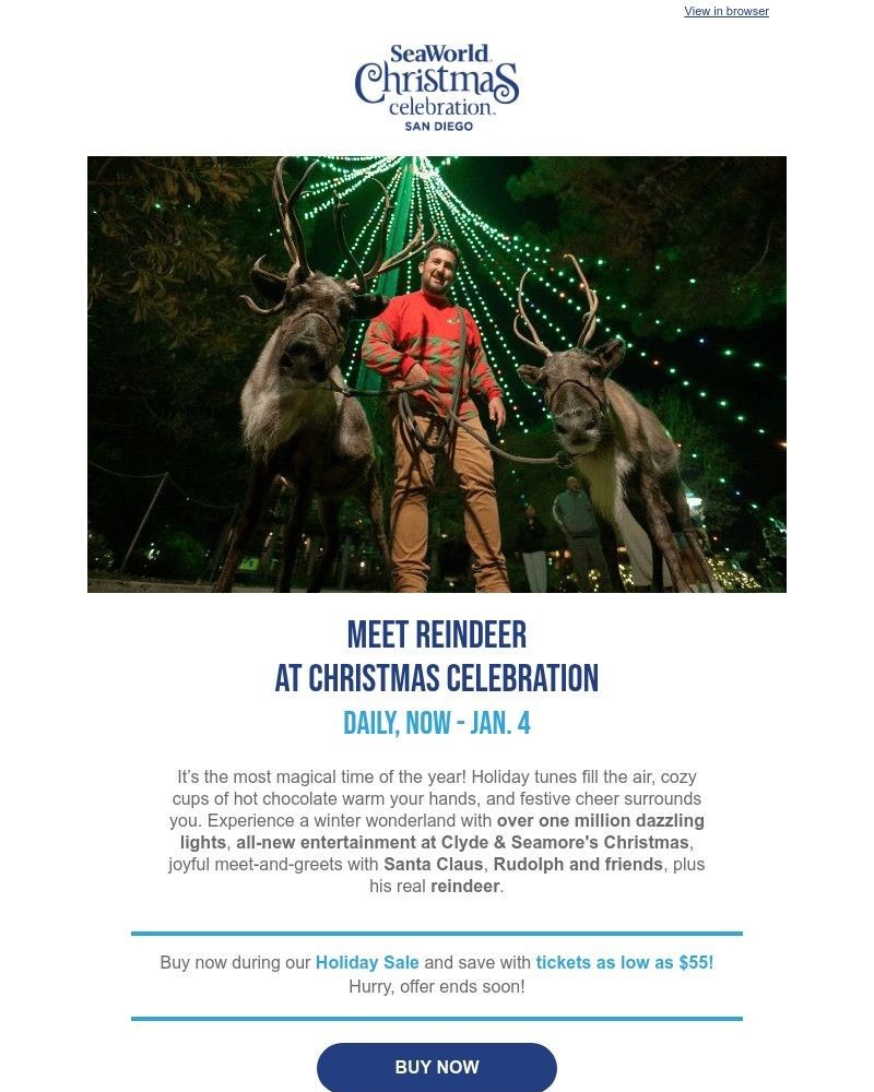 Screenshot of email with subject /media/emails/come-meet-reindeer-at-seaworlds-christmas-celebration-b66cf2-cropped-f741f6f8.jpg