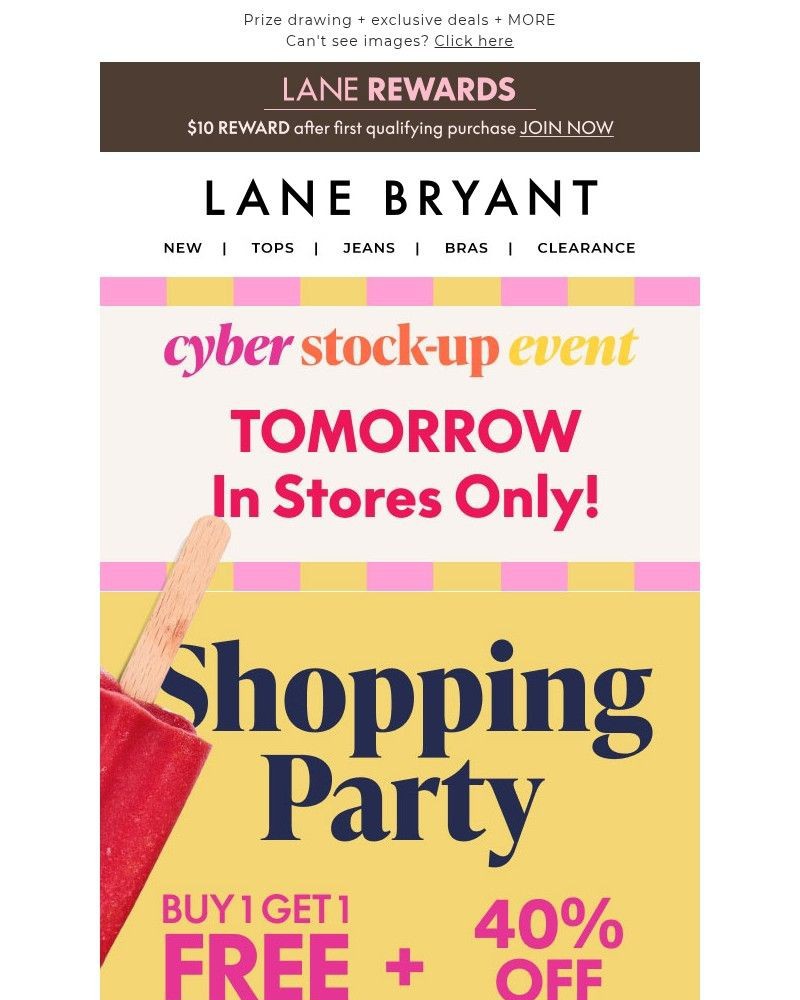 Screenshot of email sent to a Lane Bryant Newsletter subscriber