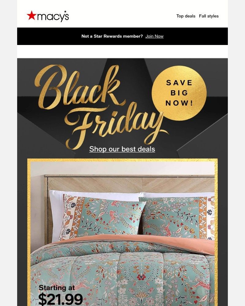 Screenshot of email with subject /media/emails/comforters-starting-at-2199-score-our-best-offers-5521c2-cropped-0dc83b1b.jpg
