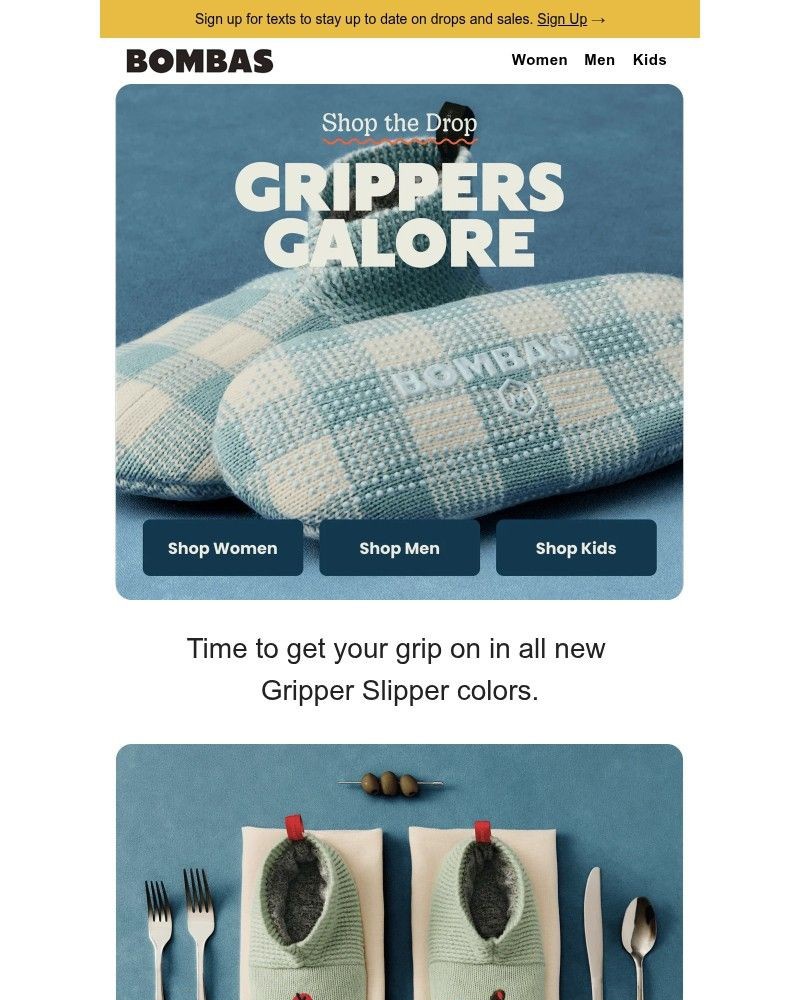 Screenshot of email with subject /media/emails/comfy-cute-new-gripper-slippers-c851b4-cropped-cc0e58ec.jpg