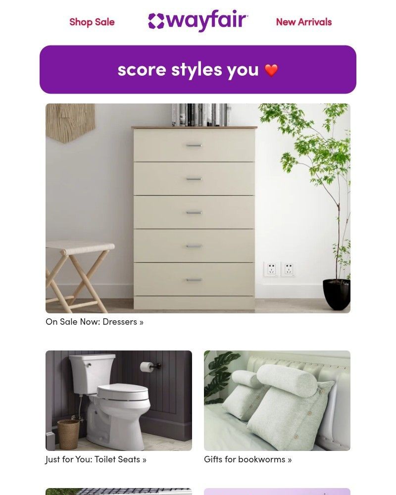 Screenshot of email sent to a Wayfair Newsletter subscriber