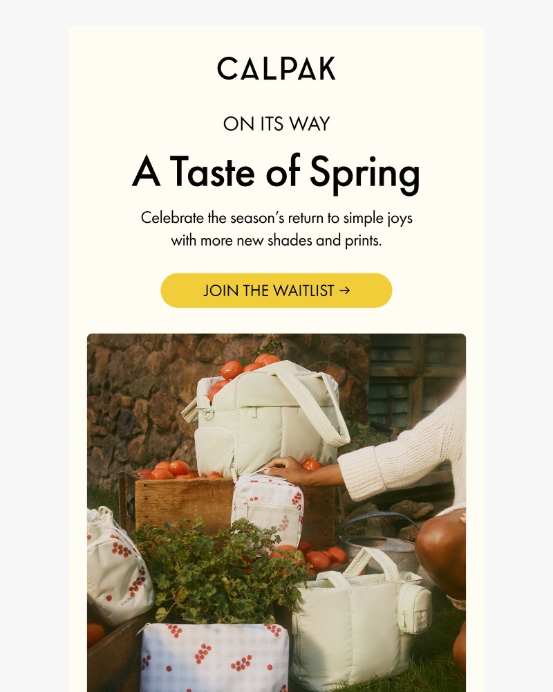 Screenshot of email sent to a Calpak Newsletter subscriber