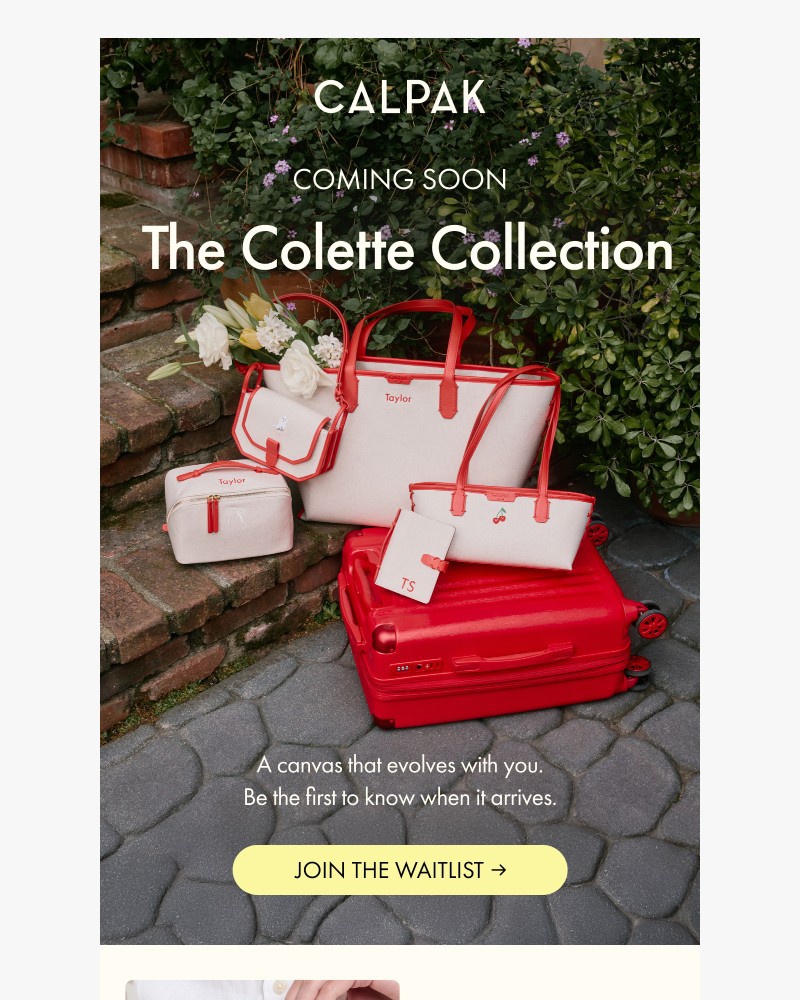 Screenshot of email sent to a Calpak Newsletter subscriber