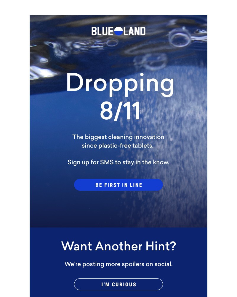 Screenshot of email sent to a Blueland Newsletter subscriber