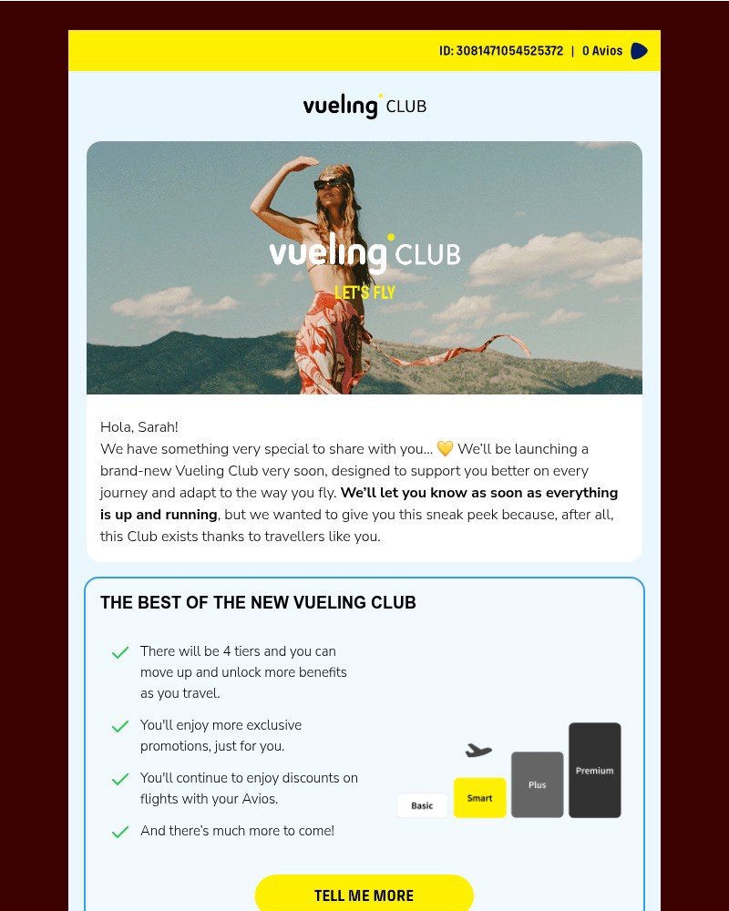 Screenshot of email sent to a Vueling Registered user