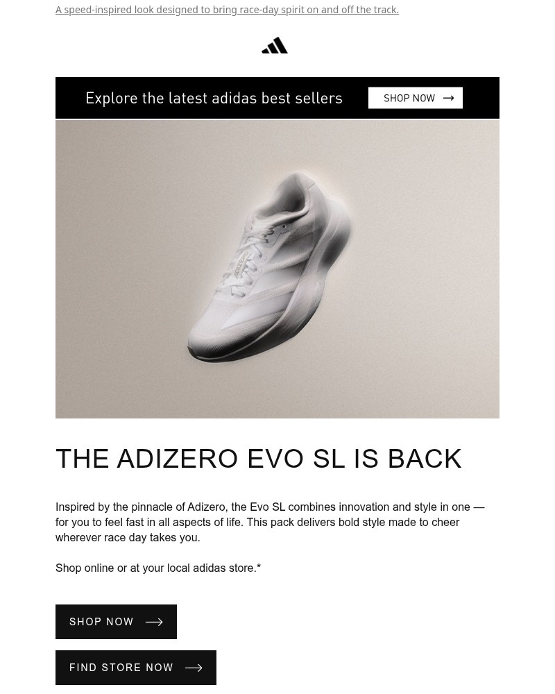 Screenshot of email sent to a Adidas Newsletter subscriber