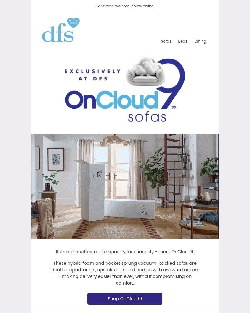 Screenshot of email sent to a DFS Cart abandoner