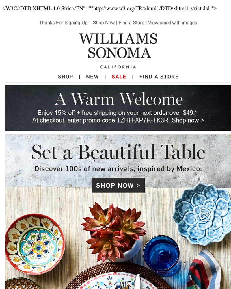Screenshot of email sent to a Williams Sonoma Newsletter subscriber
