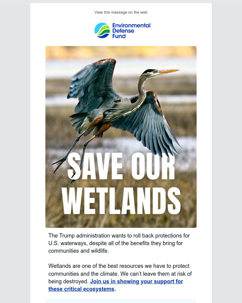 Screenshot of email sent to a Environmental Defense Fund Newsletter subscriber