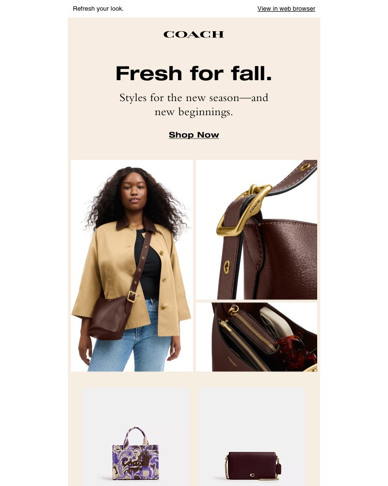 Screenshot of email with subject /media/emails/cool-styles-for-cooler-days-312d67-cropped-379c298c.jpg