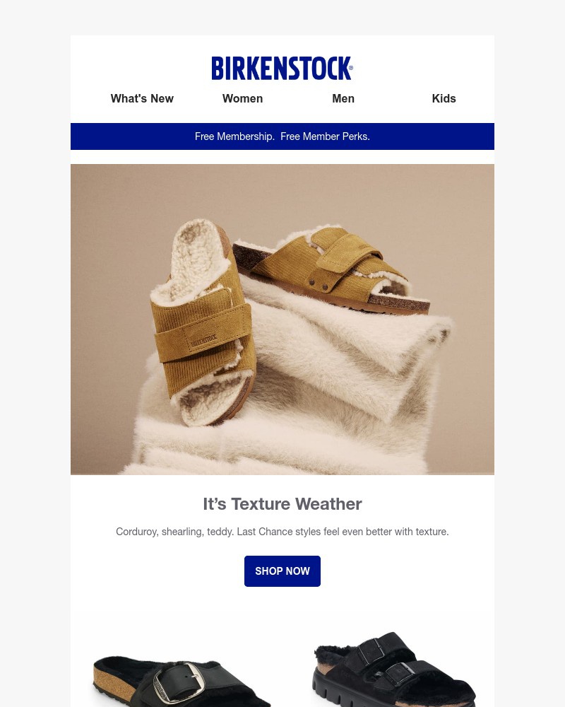 Screenshot of email with subject /media/emails/corduroy-shearling-teddy-fall-texture-in-last-chance-12af98-cropped-78f2f69a.jpg