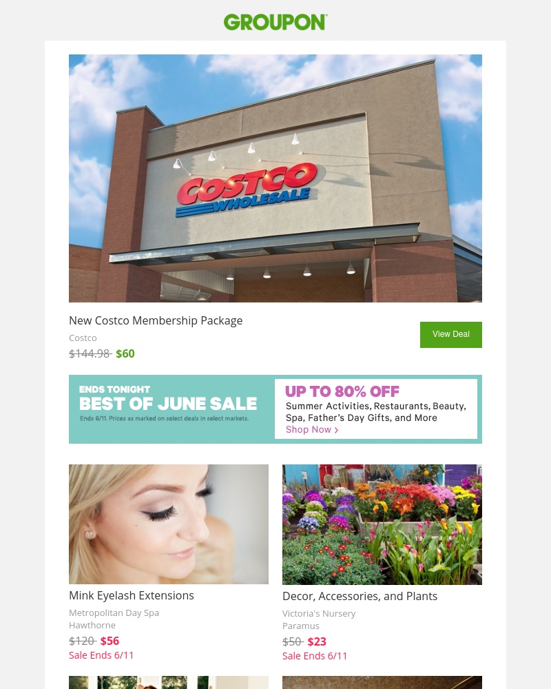 Screenshot of email with subject /media/emails/costco-membership-and-20-costco-cash-card-3-cropped-a3c531a5.jpg