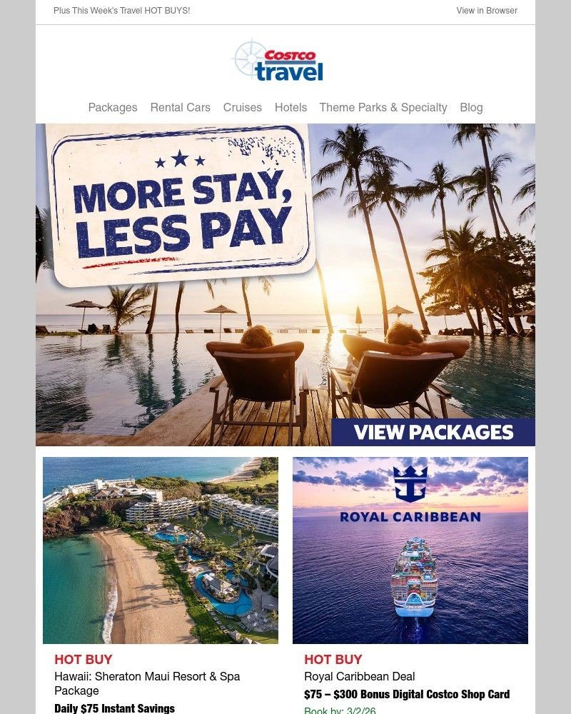 Screenshot of email sent to a Costco Newsletter subscriber