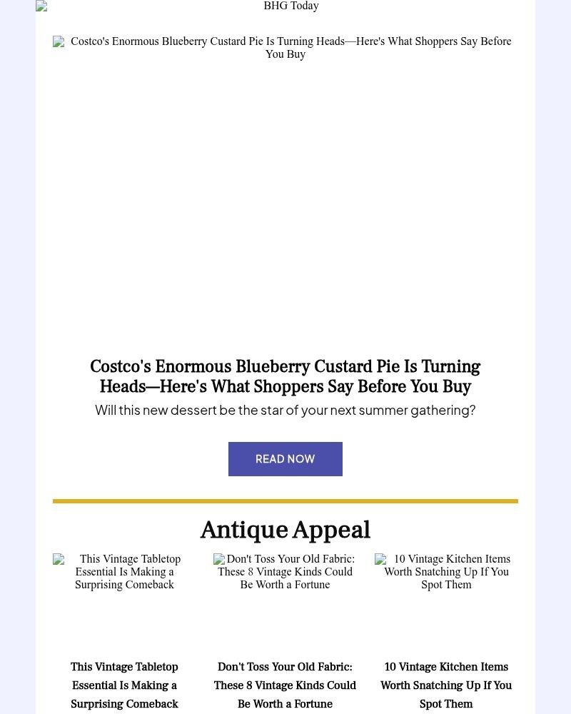 Screenshot of email with subject /media/emails/costcos-enormous-blueberry-custard-pie-is-turning-heads-ad62ec-cropped-a0ea8983.jpg