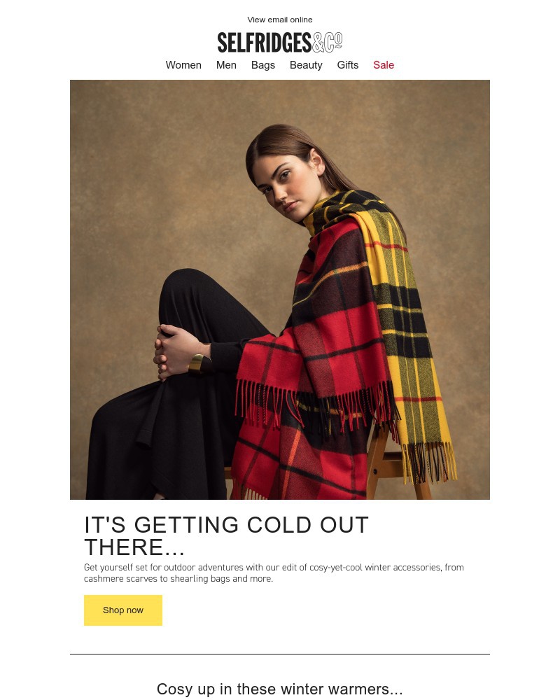 Screenshot of email with subject /media/emails/cosy-accessories-to-get-you-through-the-cold-snap-49d607-cropped-a0496036.jpg