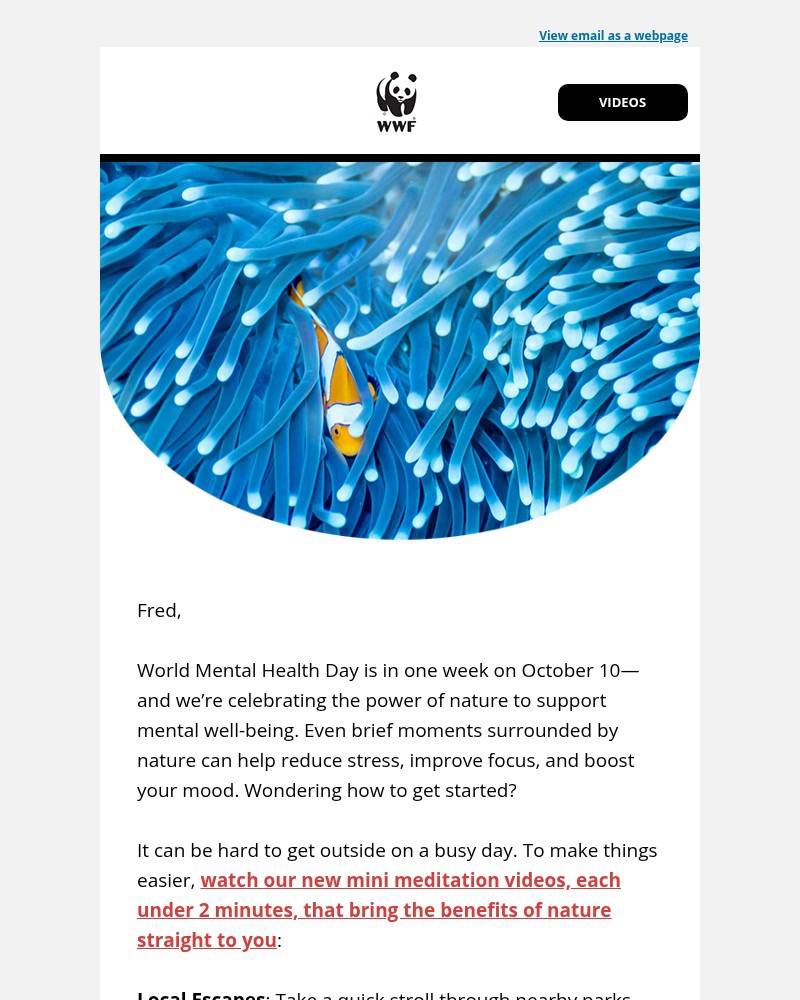 Screenshot of email with subject /media/emails/could-a-few-minutes-in-nature-change-your-day-971ffb-cropped-e08fa194.jpg