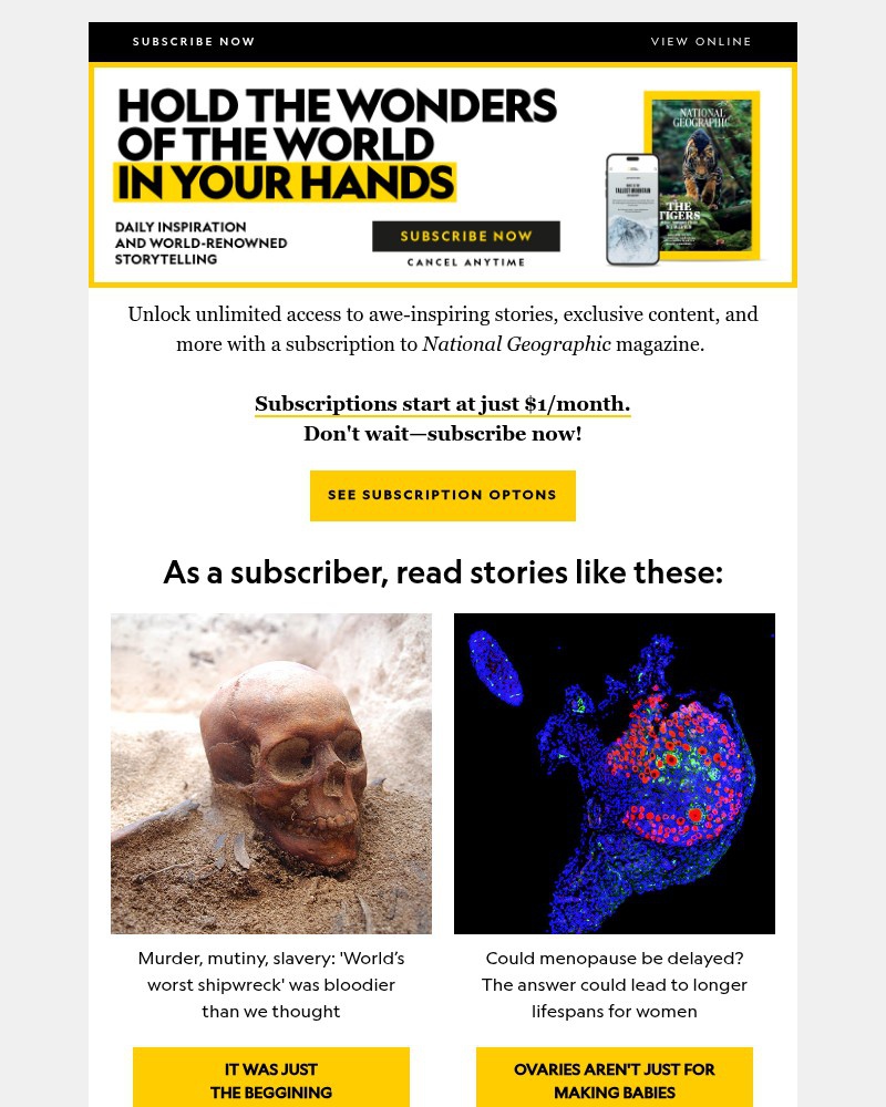 Screenshot of email with subject /media/emails/could-menopause-be-delayed-plus-the-colorado-cannibal-discover-the-unexpected-sta_mHsuS7B.jpg