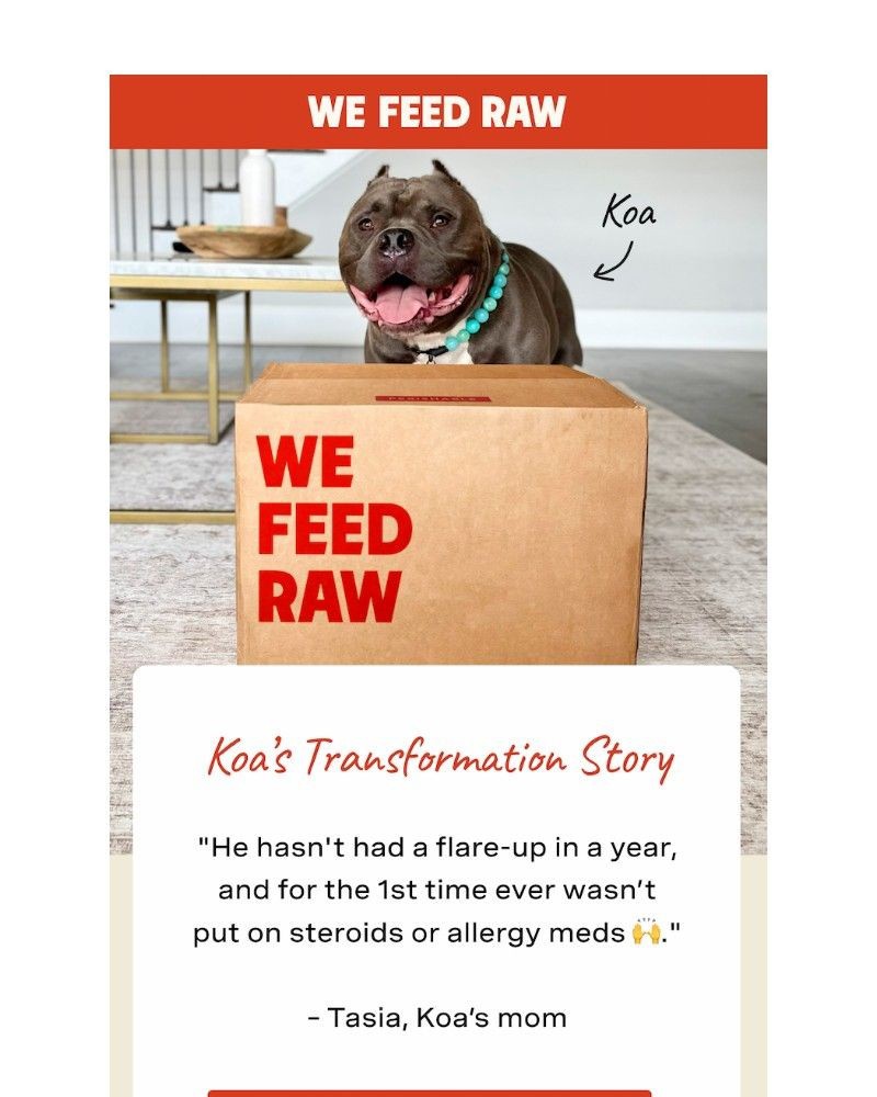 Screenshot of email with subject /media/emails/could-your-dog-have-results-like-koa-281b99-cropped-8d08560b.jpg