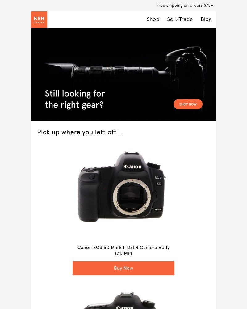 Screenshot of email with subject /media/emails/couldnt-find-what-you-were-looking-for-75208c-cropped-443951e4.jpg