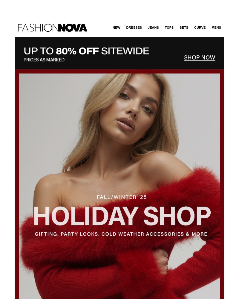 Screenshot of email with subject /media/emails/countdown-to-the-holidays-starts-here-39e64d-cropped-4590b40e.jpg