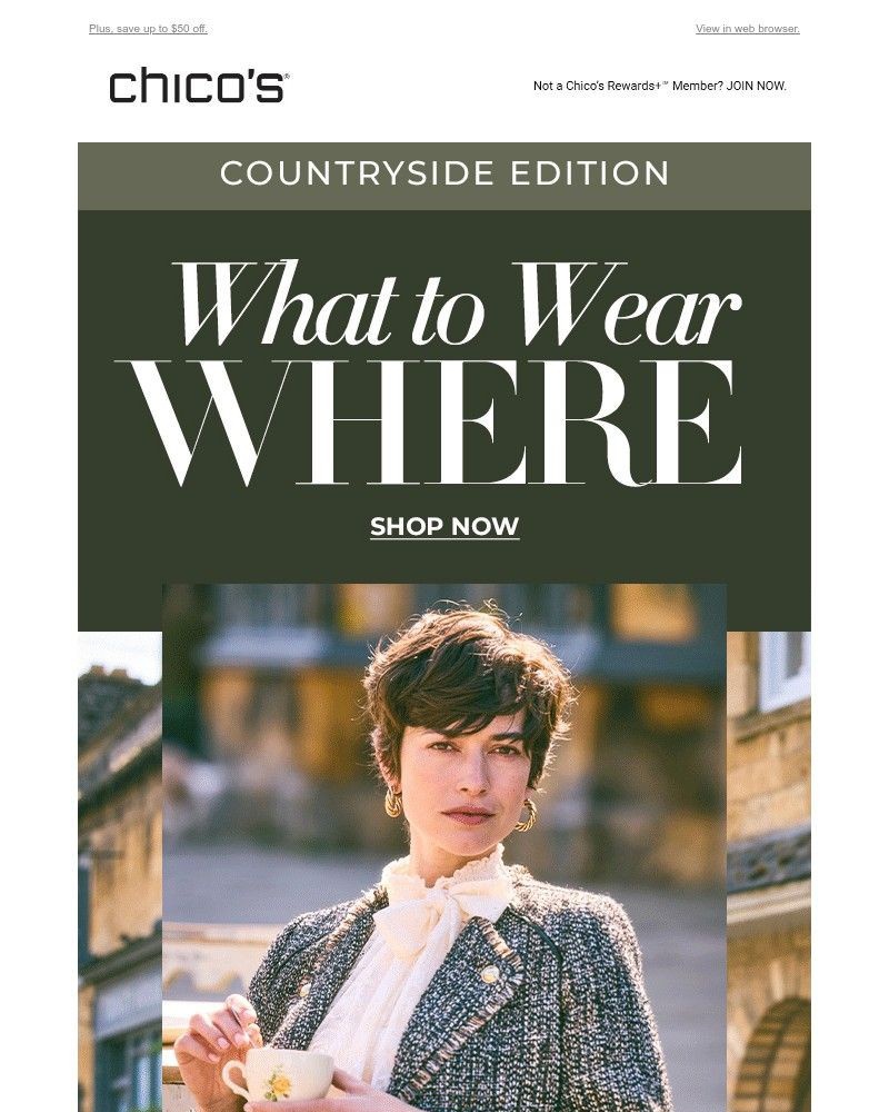 Screenshot of email with subject /media/emails/countryside-chic-8c7bf8-cropped-ffed410d.jpg
