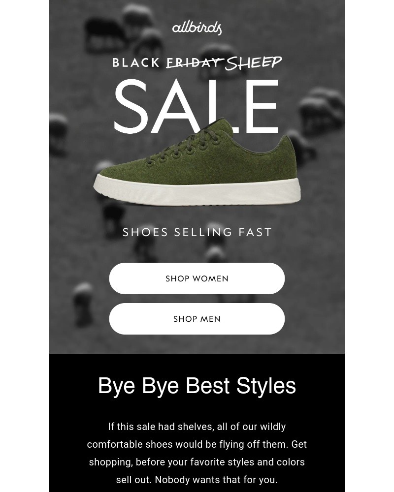 Screenshot of email with subject /media/emails/coveted-styles-are-selling-fast-20899f-cropped-e077a8c6.jpg