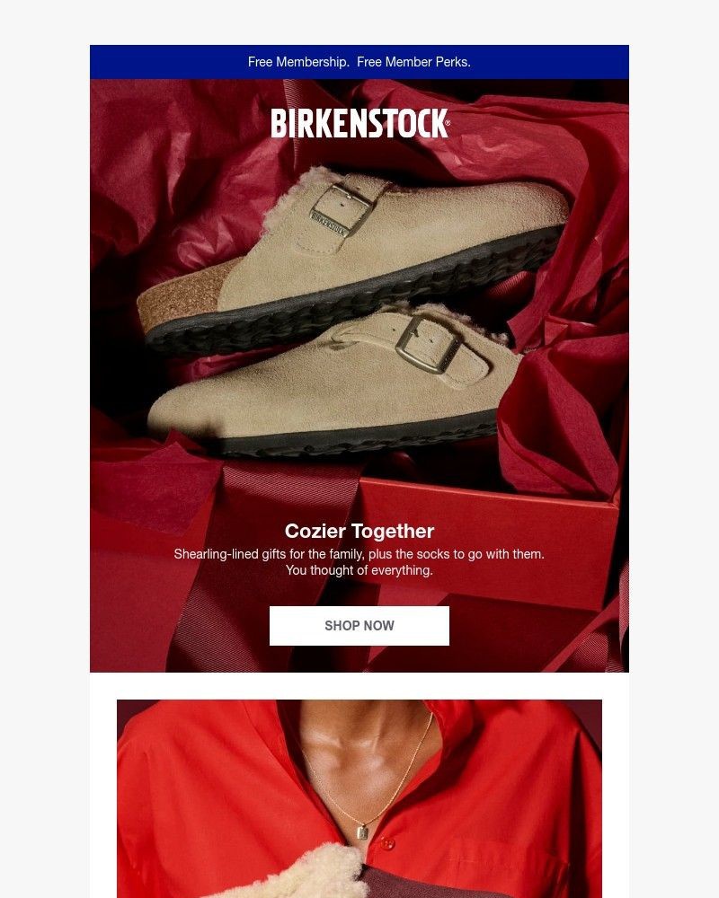 Screenshot of email with subject /media/emails/cozier-together-shearling-gifts-for-everyone-on-your-list-268e65-cropped-94994b03.jpg