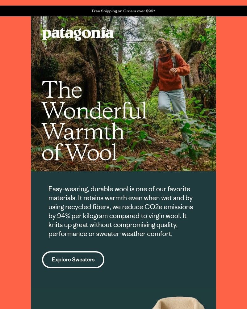 Screenshot of email sent to a Patagonia Newsletter subscriber