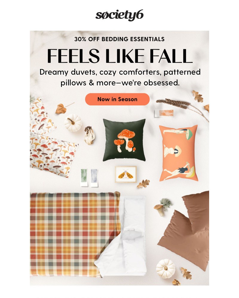 Screenshot of email with subject /media/emails/cozy-bedding-of-your-dreams-04e3f7-cropped-db98959e.jpg