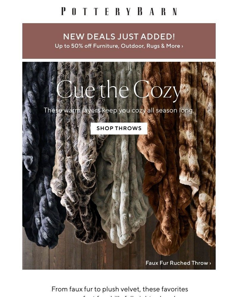 Screenshot of email with subject /media/emails/cozy-fall-must-haves-3f9980-cropped-9b34b1af.jpg