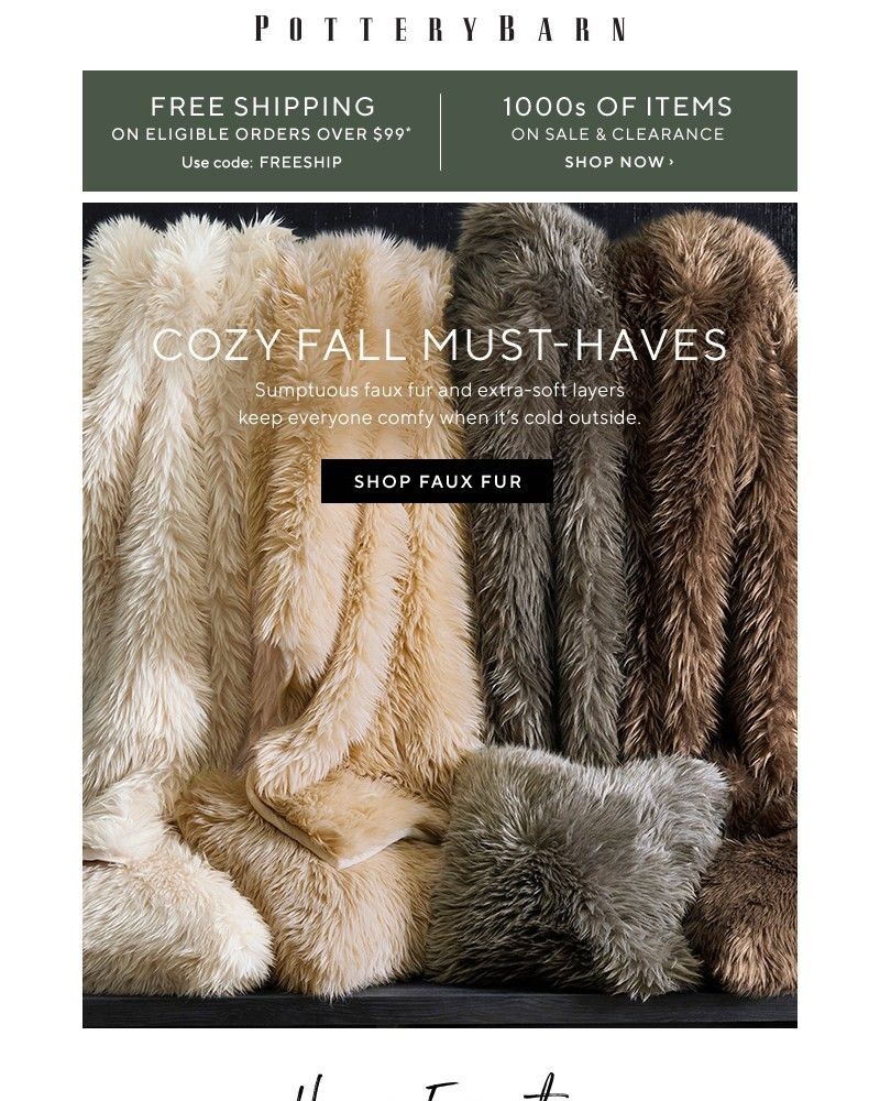 Screenshot of email with subject /media/emails/cozy-favorites-see-our-fall-roundup-f22098-cropped-d7e9113d.jpg