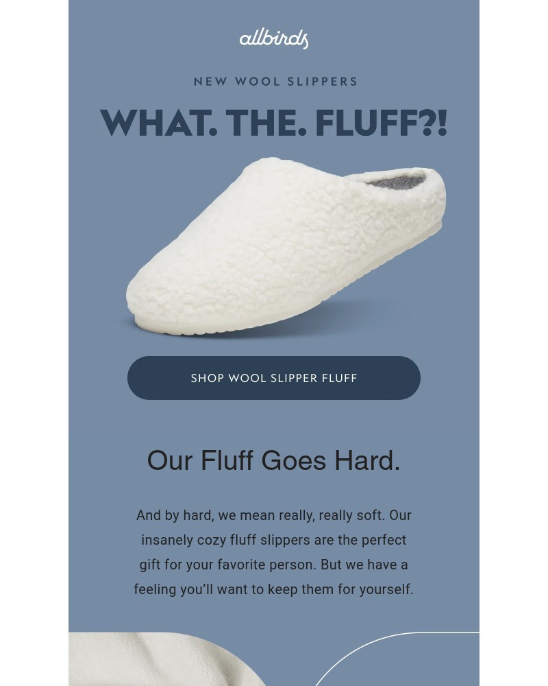 Screenshot of email with subject /media/emails/cozy-slippers-dialed-up-to-11-c518d3-cropped-048663dd.jpg